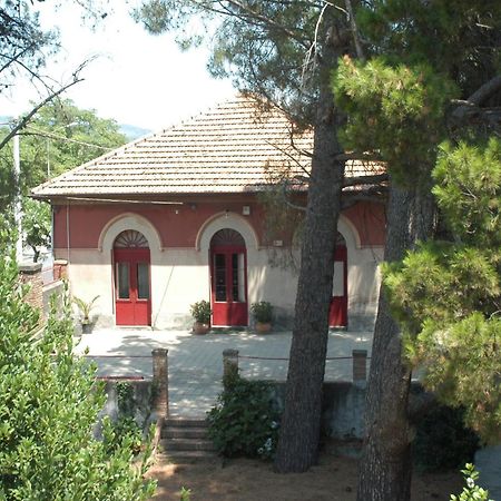 B&B Sotto I Pini Zafferana Etnea Exteriér fotografie