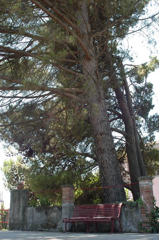 B&B Sotto I Pini Zafferana Etnea Exteriér fotografie