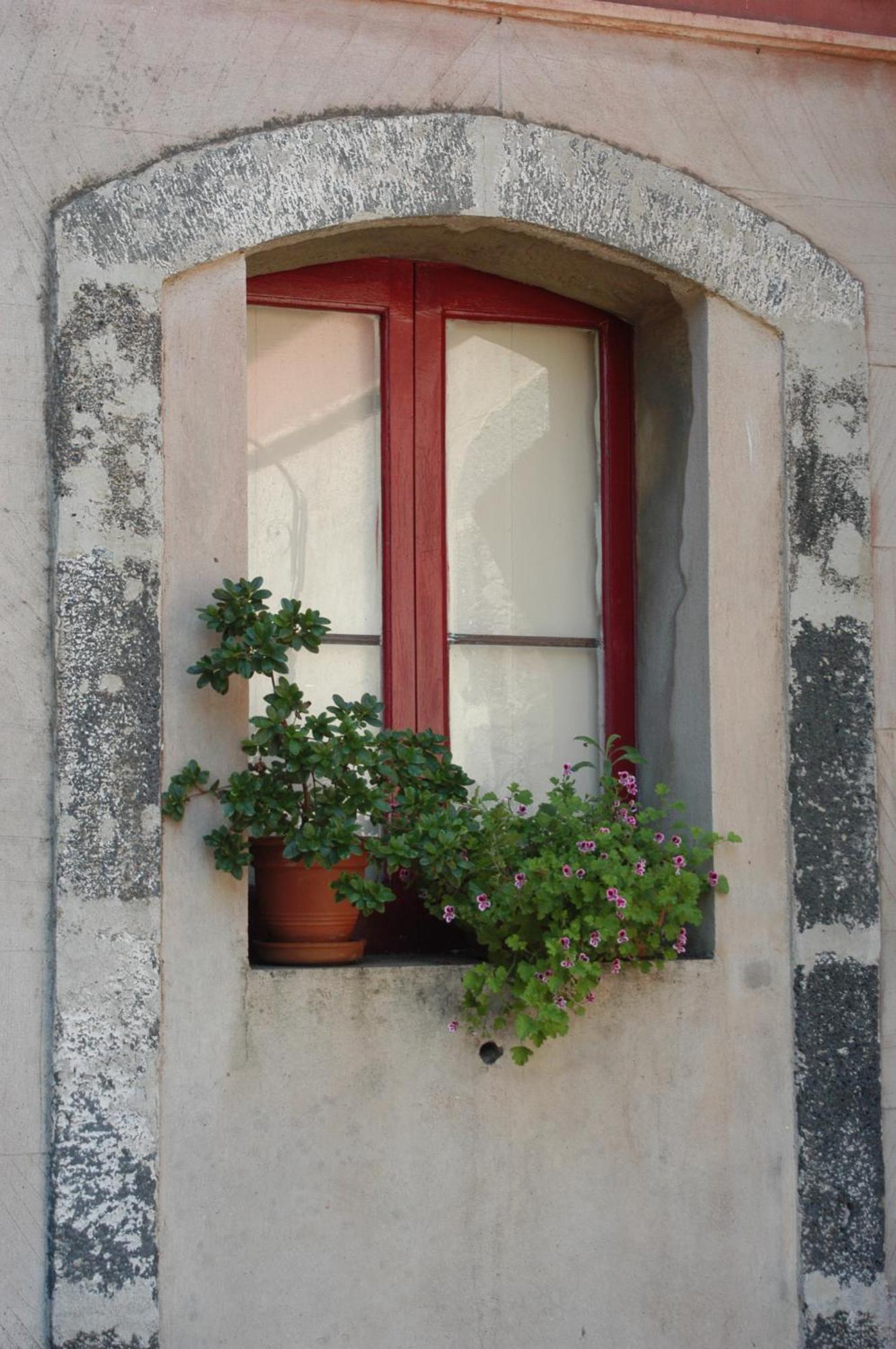 B&B Sotto I Pini Zafferana Etnea Exteriér fotografie
